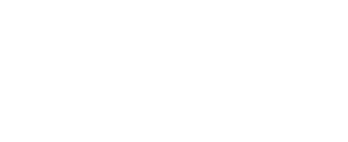 natsap logo